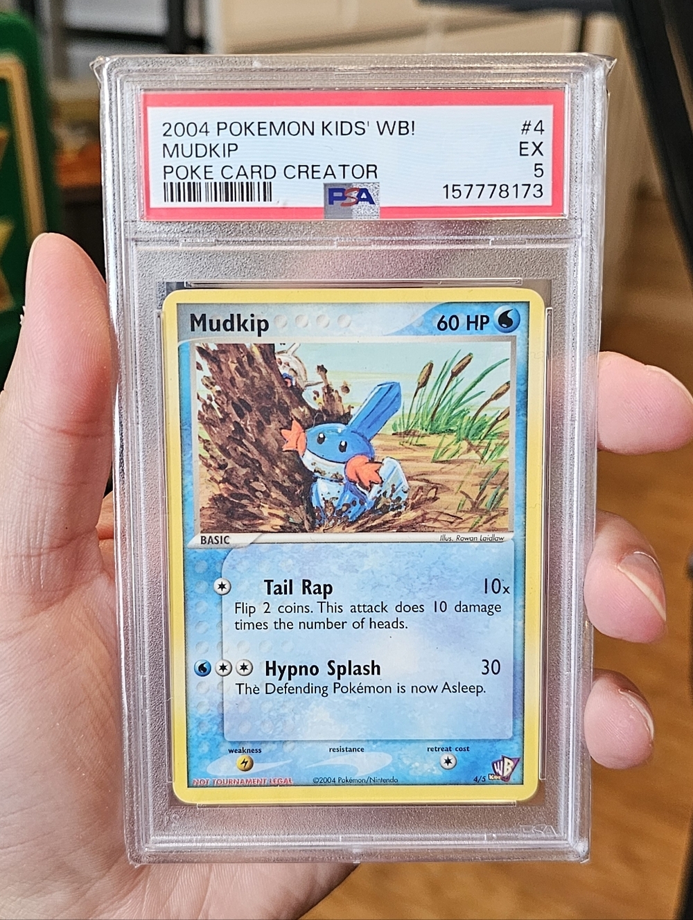 PSA 5 Pokemon Kids WB Poke Card Creator Contest Mudkip